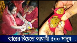 পাঁচ শতাধিক অতিথির উপস্থিতিতে দিনাজপুরে বৃষ্টির জন্য ‘ব্যাঙের বিয়ে