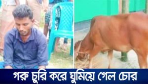 গরু চুরি করে ঘুমিয়ে গেল চোর, আটক করলো এলাকাবাসী